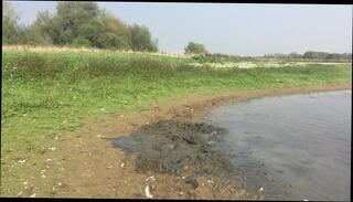 Video 266886301: naked gay man, lovely naked, nice naked, naked playing