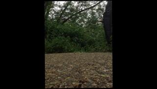 Video 109403703: pissing peeing fetish, solo pee fetish, fetish gay piss, fetish solo jerks, amateur piss fetish, solo male pee, amateur huge dick solo, piss gay cock, pee erection, pissing public gay