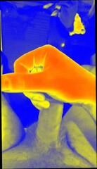 Video 295162801: gay twink masturbation, gay twink handjob, big cock gay twink, twink gay man, masturbation sperm, handsome man masturbation, young man masturbating, sperma