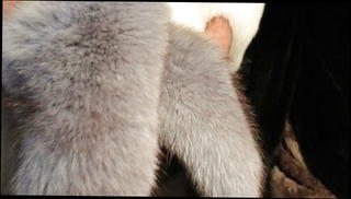 Video 1062341601: fetish stroking, sex toy gay, masturbation sex toy, amateur sex toy, gay sex hd