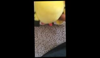 Video 1403236103: squirting dildo creampie, bbw dildo squirt, milf dildo squirt, amateur milf anal creampie, squirt big dildo anal, girl dildo squirt, squirting big ass milf, squirting big tits milf, milf sex creampie, diaper dildo, big black dildo squirting, ebony dildo squirt, white milf squirting, mature dildo squirt, guy milf creampie, creampie amateur small tits, black cock anal creampie, big dick anal creampie, big dick squirt rough, nice big ass milf, fuck uncensored, milf rough korean