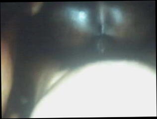 Video 31779701: anal boy pussy, anal straight boy, good boy pussy