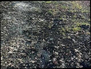 Video 1607681401: bdsm humiliation, gay boys humiliate, humiliation gay porn, teen bdsm gay, german bdsm teen, humiliated outdoors, boy cock, boy shorts