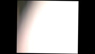 Video 295705935: high gay, gay group