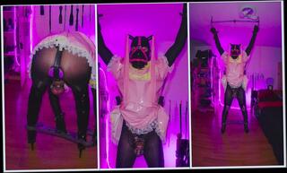 Video 1606304111: crossdresser sissy dildo solo, sissy solo huge dildo, fetish crossdresser sissy, dildo gag bondage, bondage latex gag, bdsm dildo gagging, shemale tranny sissy dildo, solo anal dildo amateur, sissy maids self bondage, sissy crossdresser homemade, sexy sissy crossdresser, bondage ball gag, young sissy crossdresser, sexy crossdresser high heels, lingerie crossdresser homemade, beautiful shemale dildo, latex stockings anal, anal dildo hd, latex high heel boots, large dildo, double, canadian tranny