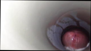 Video 857143701: anal toy cum, pussy toy cum, cock cum toy, gay anal toy, toys moaning, toy big cum, toy time