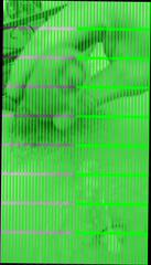 Video 353399501: gay handjob, amateur handjob, handjob hd