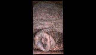 Video 1654403743: hairy chubby ass, chubby hairy daddy, hairy chubby amateur, pov amateur solo male, chubby riding pov, chubby hairy gay, pov ass fetish, hairy chubby bear, face fetish pov, hairy ass hole gay, hairy latino ass, face sitting pov