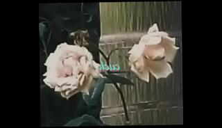 Video 798929665: cuck, fucked hard