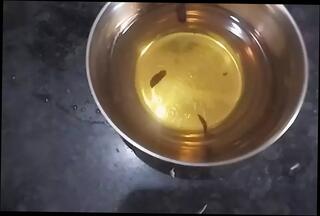 Video 1617296871: twink femboy crossdresser, bareback twink massage, vintage twinks bareback, gay bareback twink boy, twink boys bareback fuck, crossdresser compilation cum fuck, daddy fucks twink bareback, bareback twink gay sex, twink bareback fucking teen, twink bareback fucking amateurs, boy oil massage, japanese twink bareback sex, nude oil massage, daddy barebacks asian twink, twink latino bareback fucking, massage big cock oil, white twink bareback gay, twink love bareback fucking, indian oil massage, vintage black bareback, straight boy fucked bareback, gay men bareback sex, gay cum eating compilation, gay man fucking twink, twink boy step son, beach sex compilation, old men cumming compilation, public sex compilation, fat oiled cock, tattooed twink fucks, father step son gay