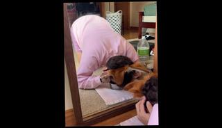 Video 1618161803: fetish gay solo, femdom slave training, femdom male slave, slave boy gay, amateur boy slave, boy solo play, puppy slave, doggy