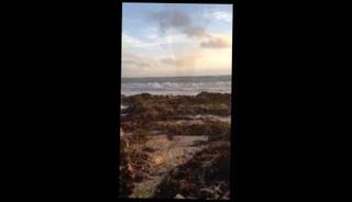 Video 95057301: naked gay man, naked beach, friend naked