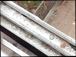 Video 1611444011: pissing orgy gay, pump piss, piss cum gay men, cock handjob pissing, striptease pissing, small cock pissing, flashing pissing, pissing hd