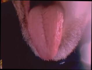 Video 1585872433: amateur webcam solo, amateur interracial porn, porn solo male, solo spit