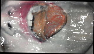 Video 1046107401: pee cum, pee gay, man peeing, pee hd