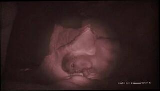 Video 285575701: double cock dildo, double penetration threesome, cuckold double penetration, double blowjob threesome, two cocks double, straight threesome, two hard cocks