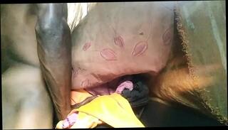 Video 1609091321: hentai anime sex cartoon, hentai cartoon anime big, hairy twinks bareback, twink bareback fucks cum, twink boys bareback fuck, twink bareback ass fucking, gay bareback twink boy, daddy fucks twink bareback, twink bareback fucking teen, big uncut cock bareback, hentai anime girl, hairy bears fucking bareback, bareback fuck young twink, twinks hot bareback fucking, twink love bareback fucking, hairy hunk bareback, hentai anime blowjob, man anime hentai, hairy muscle bareback, anime facesitting, twink barebacked roughly, ass licking bareback fucking, bareback fuck fist, twink boys kissing, crossdresser homemade fucked, twink handjob cum, hairy old man fucks, public sex hentai, korean crossdresser, pussy boy cum, good boy cum