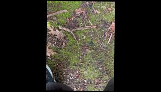 Video 1626347033: pissing peeing fetish, solo pee fetish, pissing fetish porn, solo male piss, pov pee, amateur pov porn, porn men pissing, amateur public piss, amateur college pov