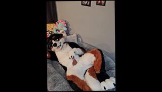 Video 1624241683: amateur collection masturbation solo, milking cock solo, fetish solo masturbation, fetish gay solo, furry fetish, solo boy masturbating cum, cock masturbation solo cumshot, gay boy medical fetish, solo male masturbation cum, milk boy friend, inspects boy, gay medical exam fetish, milk sperm, penis milking, boy solo play, milks officers, puppy fetish