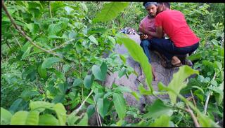 Video 1606048861: hairy twinks bareback, twink bareback creampie, porn bareback twink boy, sex bareback twink boy, gay bareback twink boy, twinks bareback anal sex, bareback gay teen twinks, hairy daddy bareback, hairy hunk bareback, barebacks young twink gay, twink couple bareback, twink big cock bareback, hairy amateur bareback, twink first time bareback, bareback pump, hairy muscle bareback, hairy indian creampie, twink barebacking outdoors, bareback loving twink, college twink barebacking, twink hot bareback, gay muscular boys bareback, pumping sex toy, man twink gay porn, teen anal creampie hd, pump vibrator, hairy desi teen, gay twink beach, romantic sex creampie, semen parte