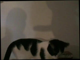 Video 173181901: deep throat blowjob facial, amateur deep throat blowjob, amateur straight blowjob, penis deep throating