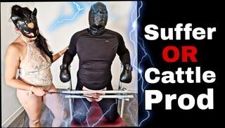 Video 1605466171: bdsm bondage slave femdom, femdom domination submission humiliation, whipping bdsm bondage, femdom mistress punishes, femdom ball busting mistress, slave spanked whipped, hardcore bdsm punishment, bondage amateur bdsm, slave training punishment, british femdom humiliation, bdsm tied slave, submissive straight, brutal whipping, mistress raven, whipping hd