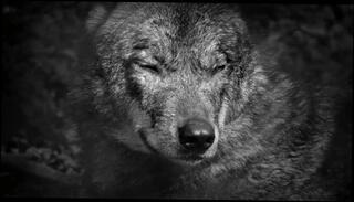 Video 780642803: big dick twink solo, solo twink boys, twink solo big cock, twink solo cumshot, solo amateur twink, twink solo gay, gay twink boys men, twink boy gay male, solo boy handjob, twink boys european, twink gay cowboys, tattooed amateur twink, twink pornstar, redneck twinks, twinks outside, hard dick