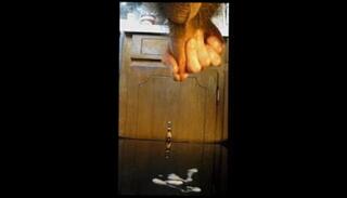 Video 169056401: milking gay, amateur milking, milk masturbates, milking time, milk two