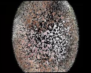 Video 1601339721: fetish lesbian femdom, lezdom fetish, lezdom submissive, submissive straight, spit submission