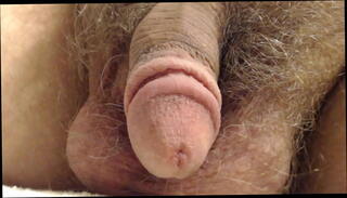 Video 1596302445: hairy dick balls, hairy cock balls, hairy penis, small hairy dick, penis close