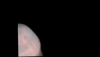 Video 1338747315: masturbation precum