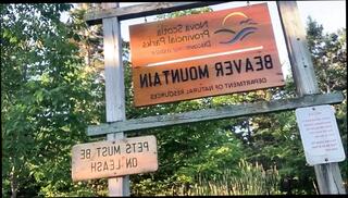 Video 1583055111: solo cock masturbation cum, cumshot masturbation gay solo, solo masturbation naked, solo amateur masturbation, caught naked, solo outdoor cum, solo public masturbation, penis solo, naked wanking, table naked, park naked, canadian cock