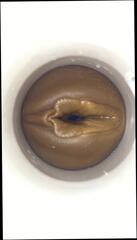 Video 300684901: masturbate cum cam, sex toy cam, amateur cam masturbation, gay sex cam, cum cam man