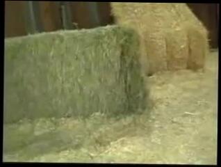 Video 49825101: interracial bbc creampie, interracial creampie gangbang, creampie gangbang orgy, wife multiple creampie gangbang, hot wife bbc creampie, creampie bbc pussy, creampie gangbang black, straight interracial, creampie impregnation, bbc nut, black cock takes cum, blonde takes black cock