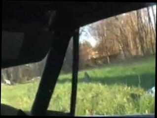 Video 19206401: tits black amateur, straight black amateur, tities