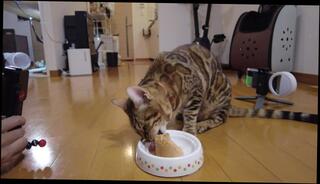 Video 1579570173: pov lesbian pussy licking, pov lesbian pussy eating, lesbian anal pov, pov lesbian sex, lesbians kissing licking pussy, babe pussy licking lesbian, ass pussy licking lesbian, lesbian girls licking pussy, amateur lesbian pussy licking, hardcore anal sex pov, pov blowjob hardcore anal, cute lesbian babes lick, soft lesbian, lesbian surprise, pussy sound