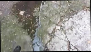 Video 1427792401: wife pissing, piss straight, piss stories