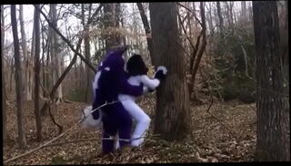 Video 1160924565: furry creampie, breeds furry, creampie outdoors