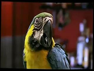 Video 38401201: penelope cruz, sexy nude porn, sexy nude straight, nude sexy celebrities, breast nipple play, sucking nipples playing, sucking guy nipples, seduces sexy, topless car, great topless