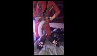 Video 1627610763: feet fetish solo, fetish feet socks, male feet fetish, bondage pet play, bondage butt, amateur bondage