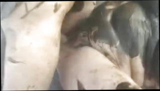 Video 34311701: straight anal fucking, amateur anal fuck, mature anal fuck, mud fuck, mom pounding, mom hard