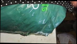 Video 1220145401: niece, gay cum, quick wank