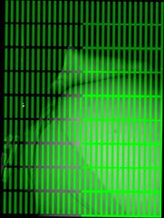 Video 349279101: mom hand, russian mom, mom deep, straight hand