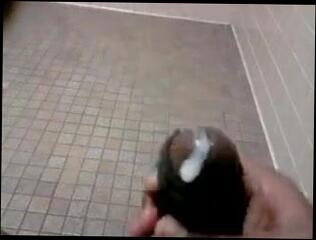 Video 82488201: gay cock cumshot, hard cocks cum shot, shaved cock cumming, gay man cock, hard cock amazing