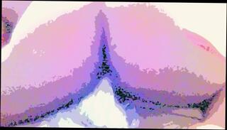 Video 1569407743: solo hairy masturbation, cartoon anime, hairy male solo, solo amateur trans, solo masturbation toy, solo sexuality