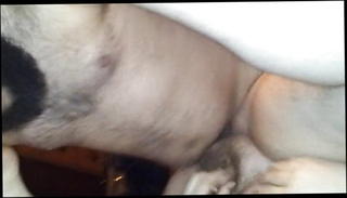 Video 1538103501: gay bareback gangbang, chubby bear barebacking, gay bareback anal fucking, cock bareback anal fucking, anal fucking sex bareback, bareback anal fucking blowjob, gangbang group sex fuck, chubby boy fucking, chubby fuck friend, fat chubby fuck, chubby small cock, chubby american, two chubby