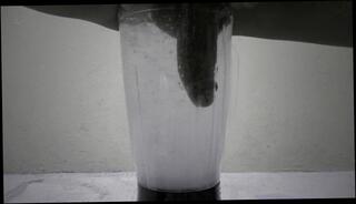 Video 308218503: milking cock solo, dp solo, amateur teen solo masturbation, cock milking handjob, solo male teen masturbation, solo big cock masturbation, solo masturbation big dick, milking semen, friend milking cock, milking young cock, solo masturbacion, solo female masturbation, amateur teen masturbating