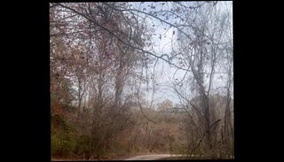 Video 1606604535: public nudity nude naked, caught naked public, cock caught, exhibitionist caught, caught exposed, man caught