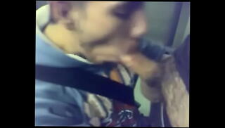 Video 657398325: cum sucking gay, gay public sucking, suck cum hot, public train gay