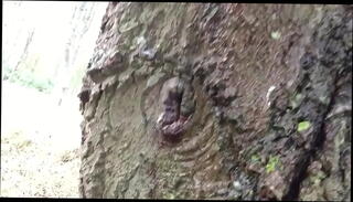 Video 777031195: pissing peeing, solo piss, piss boys cock, pissing gay boys, horny solo boy, piss british, gay english boys